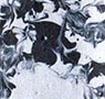 Esther-Ramos-1993_04_19-Encapotado-92x14-cms