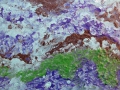 Esther-Ramos-2014_02_17-Amazonico-PielER-Portatil-7-30x42-cms