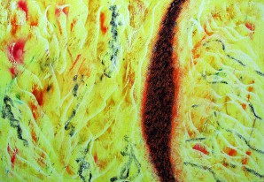 Esther-Ramos-2024_04_21-Dibujando-vacios-35x50-cms