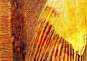 Esther-Ramos-2024_05_07-Jeroglificos-de-silencio-35x50-cms