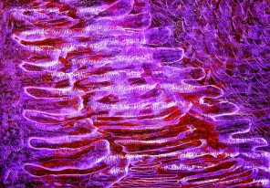Esther-Ramos-2024_05_20-Observatorio-de-fantasmas-35x50-cms