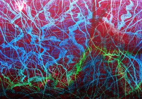 Esther-Ramos-2024_06_05-Hilos-tejiendo-destinos-50x70-cms