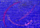 Esther-Ramos-2025_02_04-Mensajes-codificados-50x70-cms
