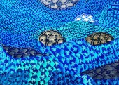 Esther-Ramos-2025_02_16-Pescando-todo-lo-emergente-50x70-cms