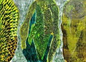 Esther-Ramos-2025_05_22-Polinizando-50x70-cms