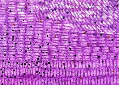 Esther-Ramos-2025_06_11-Esencialismo-50x70-cms