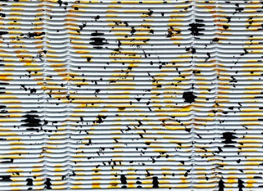 Esther-Ramos-2025_09_10-Respuesta-22x31-cms