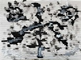 Esther-Ramos-2025_10_13-El-cuento-Zen-22x31-cms