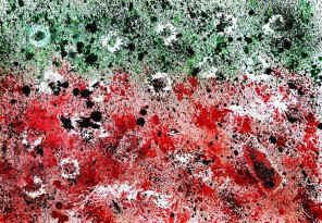Esther-Ramos-2026_07_08-Cultivando-la-mirada-35x50-cms
