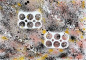 Esther-Ramos-2026_09_25-Sombra-positiva-35x50-cms