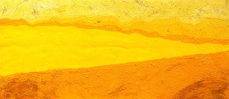Esther-Ramos-1999_03_08-Alberin-27x60-cms