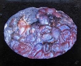 Esther-Ramos-2007_09_00-Sopa-de-medusas-38x46-cms-E